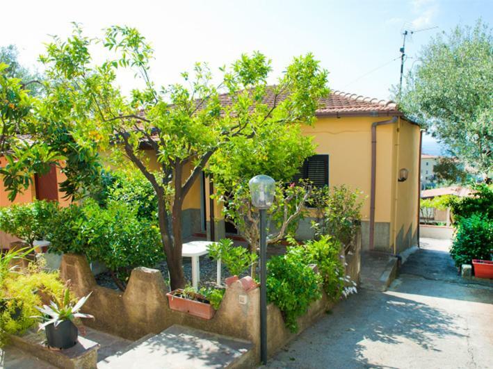 Ferienwohnung Casa Vacanze Tramonto Marina di Camerota Exterior foto